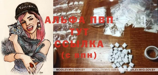 Альфа ПВП Пролетарск