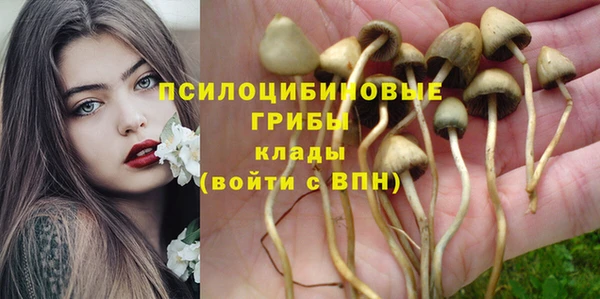 гашик Покачи