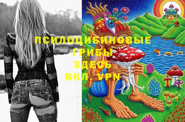 Альфа ПВП Пролетарск