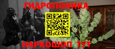бошки Абакан