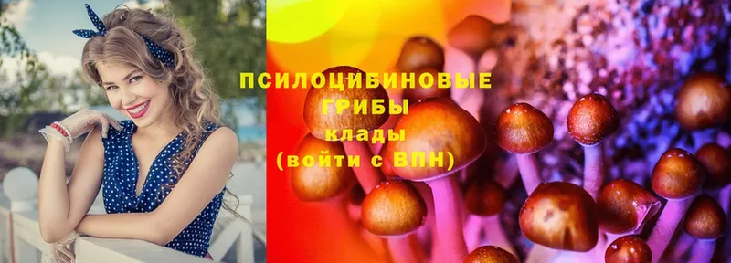 Псилоцибиновые грибы MAGIC MUSHROOMS  Губкинский 