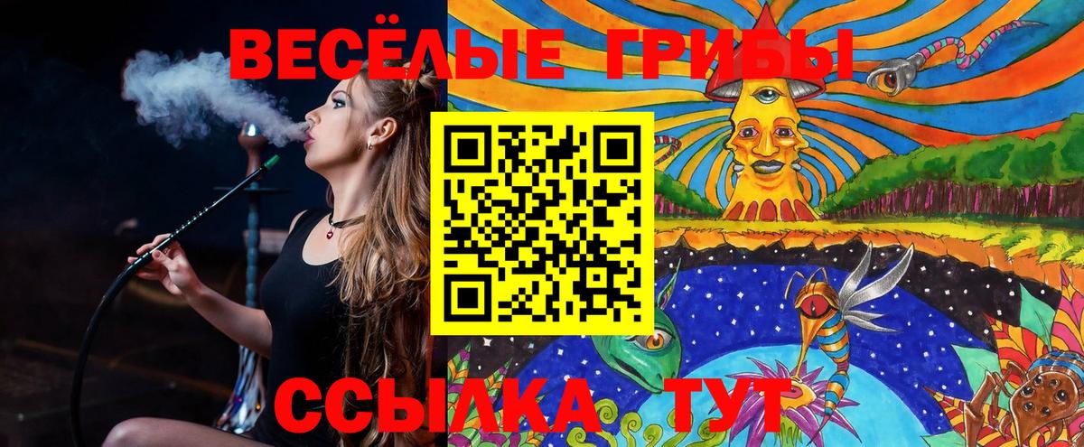 Галлюциногенные грибы Magic Shrooms Губкинский