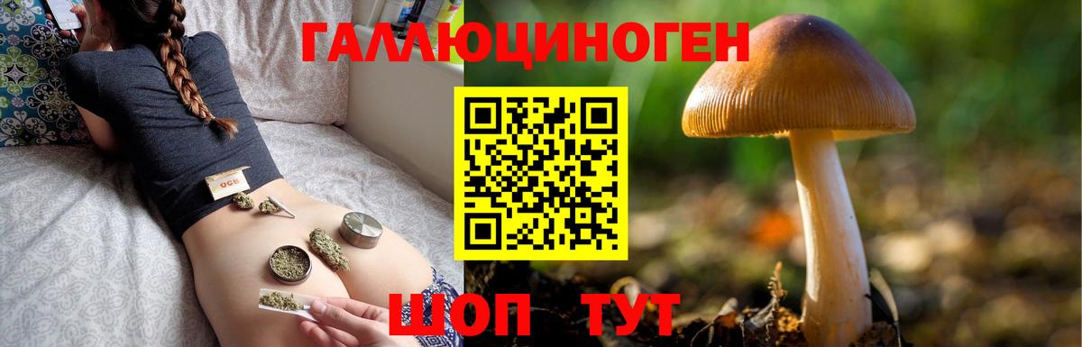 Псилоцибиновые грибы GOLDEN TEACHER Губкинский